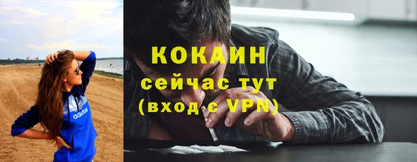 стаф Медногорск