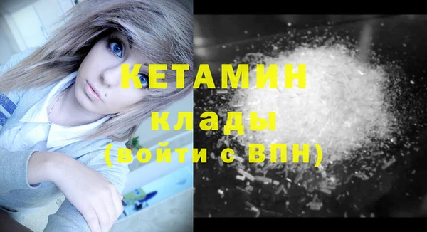 стаф Медногорск