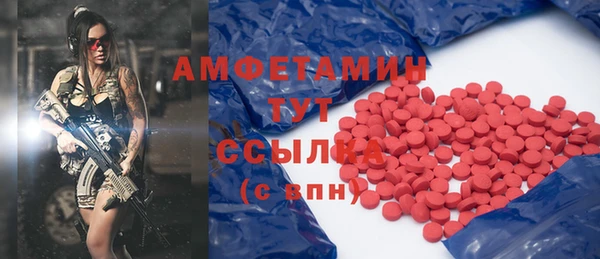 стаф Медногорск