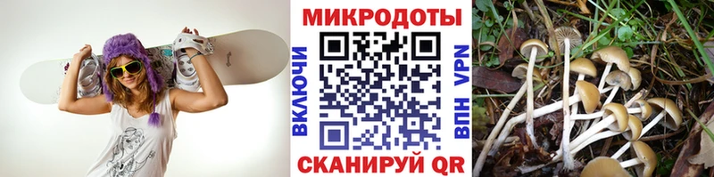 Псилоцибиновые грибы Magic Shrooms  Нижняя Тура 